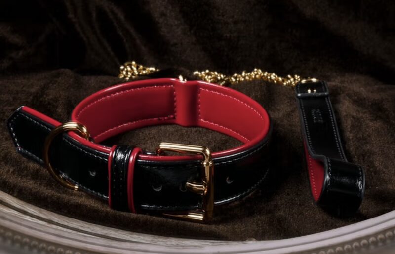 "BDSM Collar with Leash Set" - Image 2