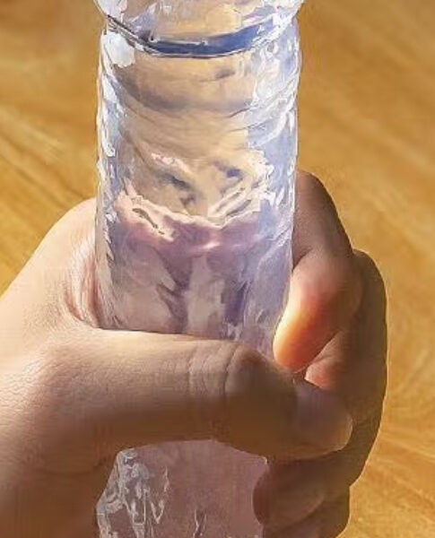 "Realistic Translucent Dildo"